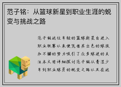范子铭：从篮球新星到职业生涯的蜕变与挑战之路