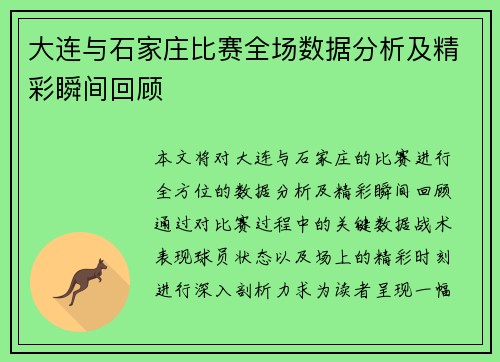 大连与石家庄比赛全场数据分析及精彩瞬间回顾